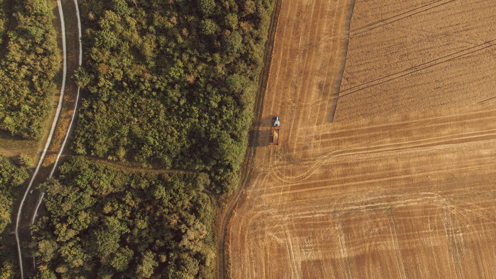 Aerial view of farmland meeting forest